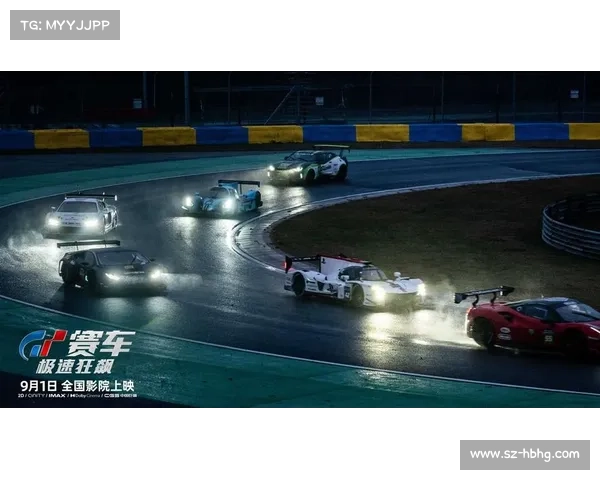 世界顶级赛车盛典全球高手巅峰对决激情速度荣耀争夺战