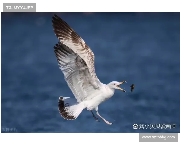 丁香湖吧 丁香湖年度赛事激情启航世界高手汇聚竞技于湖光山色间展现卓越风采 丁香湖吧 丁香湖年度赛事激情启航世界高手汇聚竞技于湖光山色间展现卓越风采