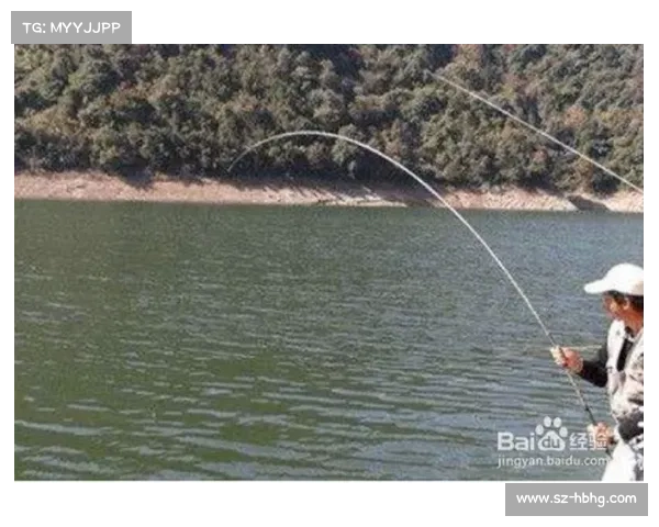 四海钓鱼频道野钓2020